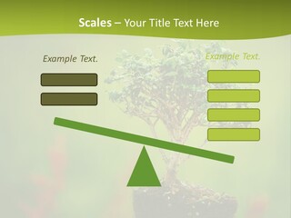 Beauty Japan Mesh PowerPoint Template