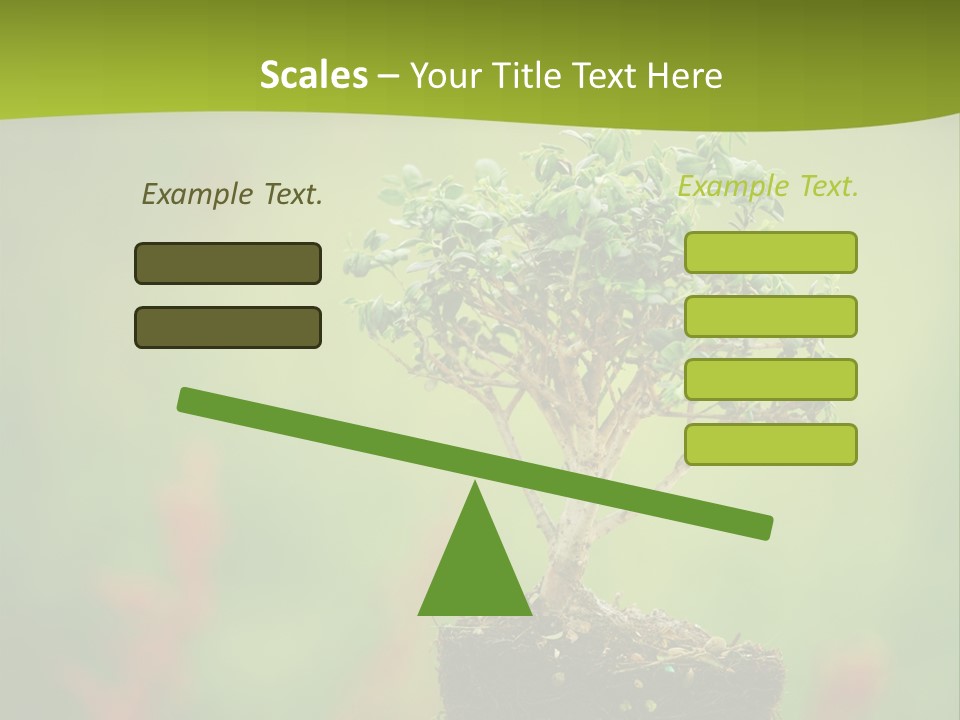 Beauty Japan Mesh PowerPoint Template