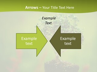 Beauty Japan Mesh PowerPoint Template