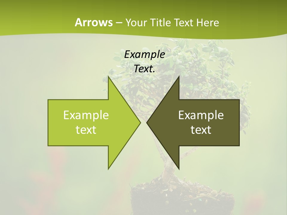 Beauty Japan Mesh PowerPoint Template