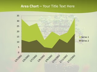 Beauty Japan Mesh PowerPoint Template