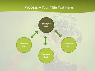 Beauty Japan Mesh PowerPoint Template