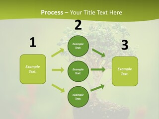 Beauty Japan Mesh PowerPoint Template