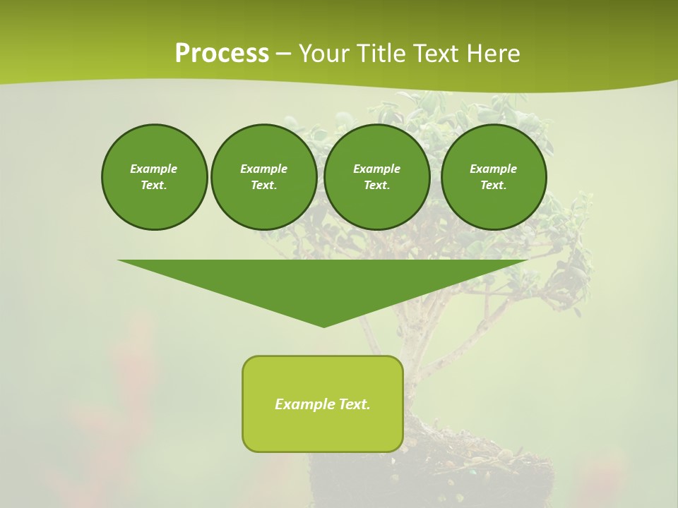 Beauty Japan Mesh PowerPoint Template