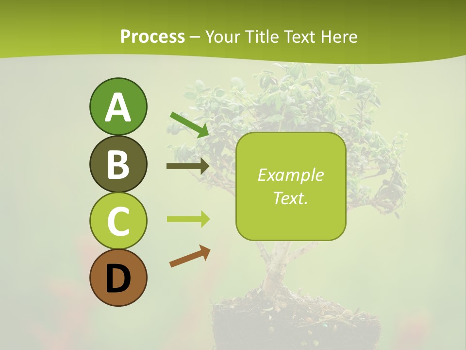 Beauty Japan Mesh PowerPoint Template