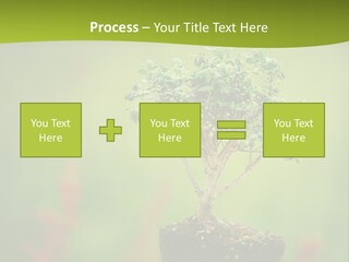 Beauty Japan Mesh PowerPoint Template