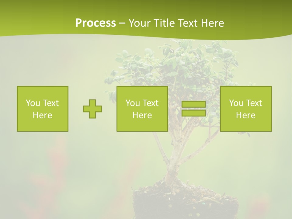 Beauty Japan Mesh PowerPoint Template