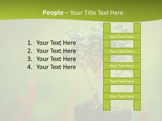 Beauty Japan Mesh PowerPoint Template