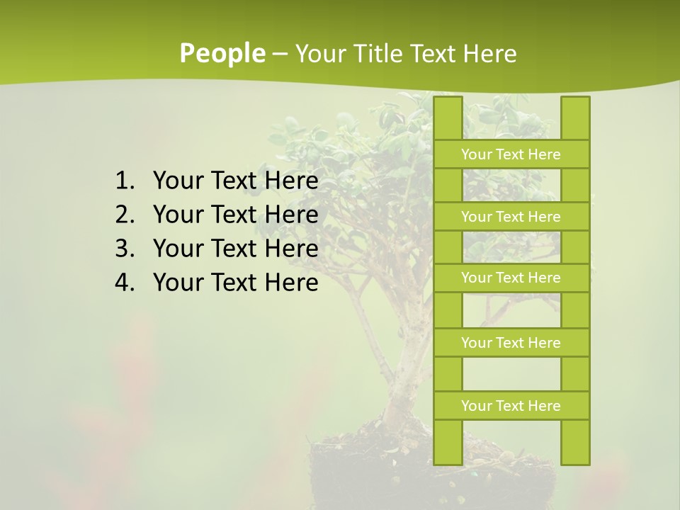 Beauty Japan Mesh PowerPoint Template