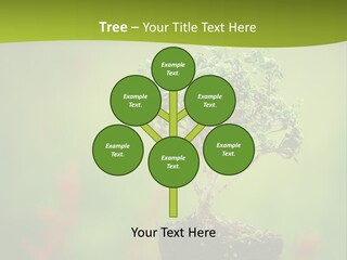 Beauty Japan Mesh PowerPoint Template