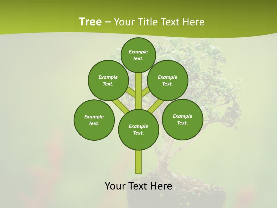 Beauty Japan Mesh PowerPoint Template