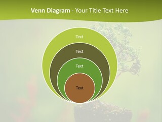 Beauty Japan Mesh PowerPoint Template