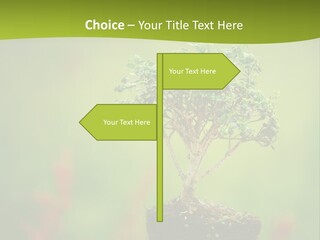 Beauty Japan Mesh PowerPoint Template