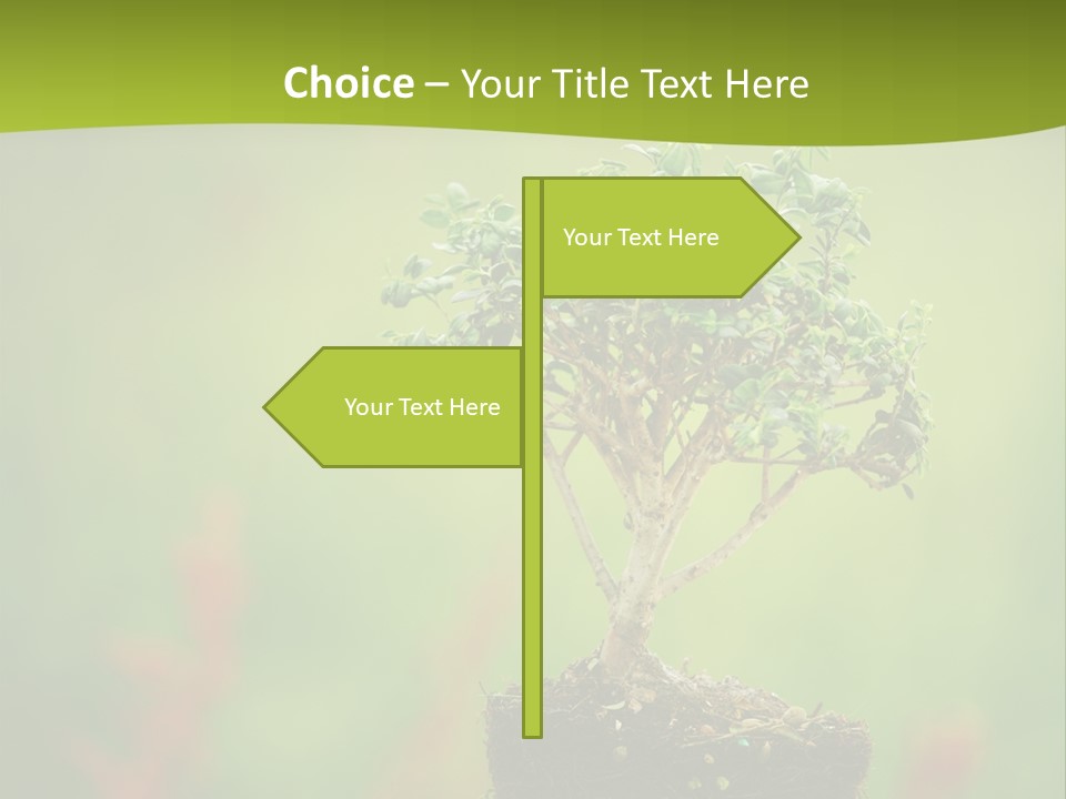 Beauty Japan Mesh PowerPoint Template