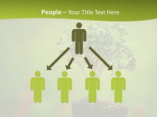 Beauty Japan Mesh PowerPoint Template