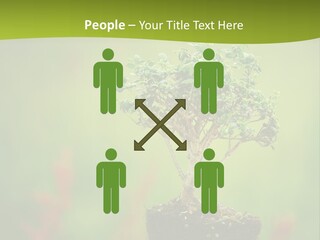 Beauty Japan Mesh PowerPoint Template