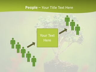 Beauty Japan Mesh PowerPoint Template