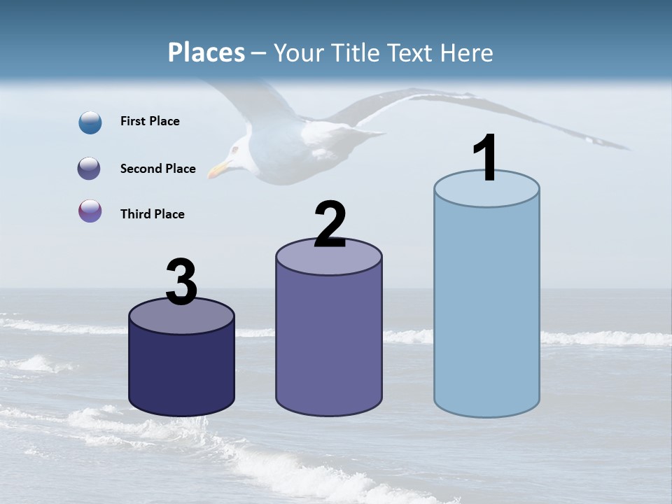 Wildlife Nature Beach PowerPoint Template
