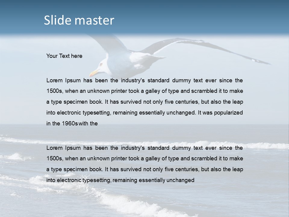Wildlife Nature Beach PowerPoint Template