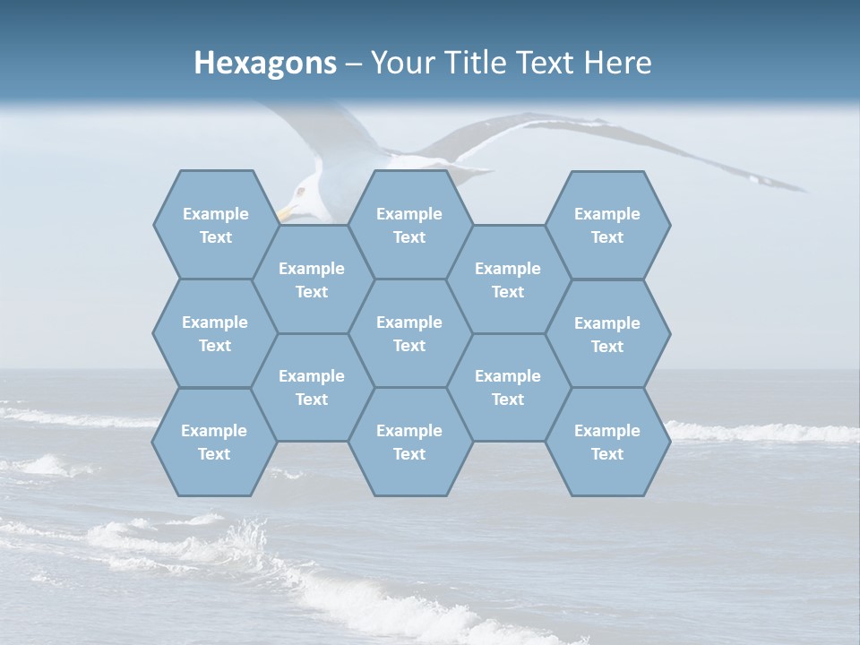 Wildlife Nature Beach PowerPoint Template