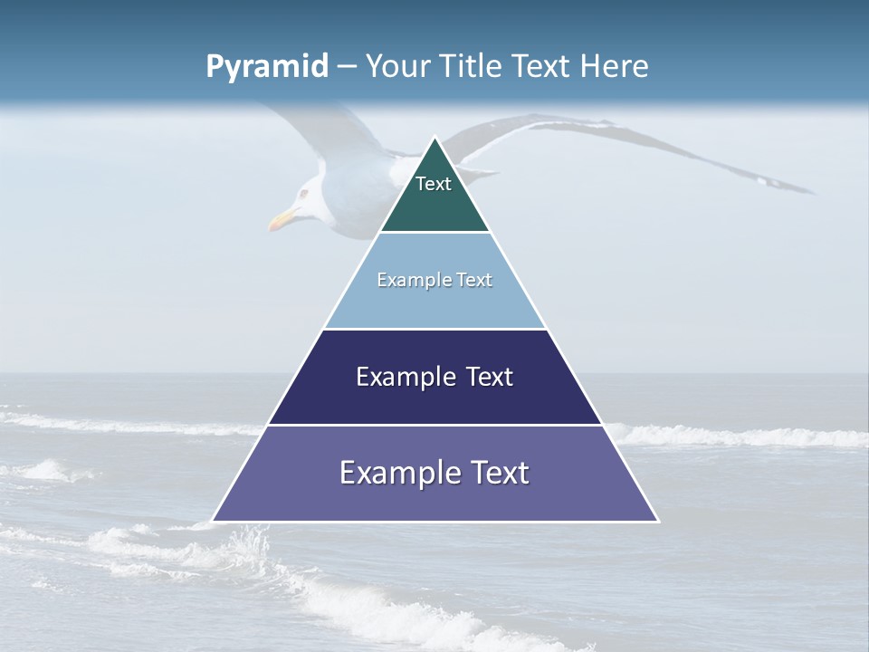 Wildlife Nature Beach PowerPoint Template