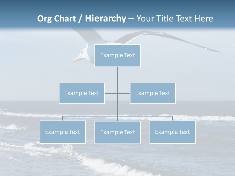 Wildlife Nature Beach PowerPoint Template