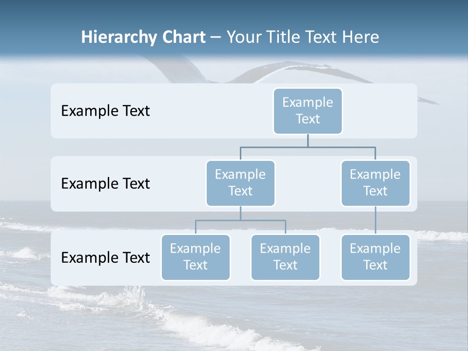Wildlife Nature Beach PowerPoint Template