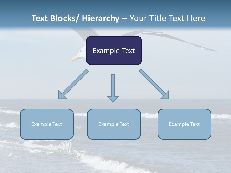 Wildlife Nature Beach PowerPoint Template