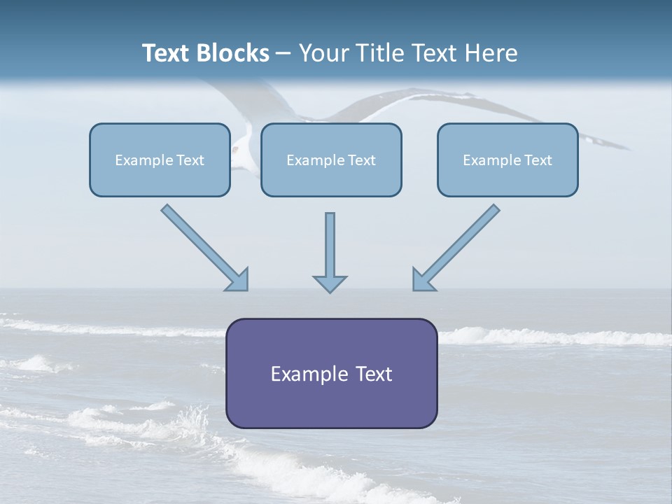 Wildlife Nature Beach PowerPoint Template