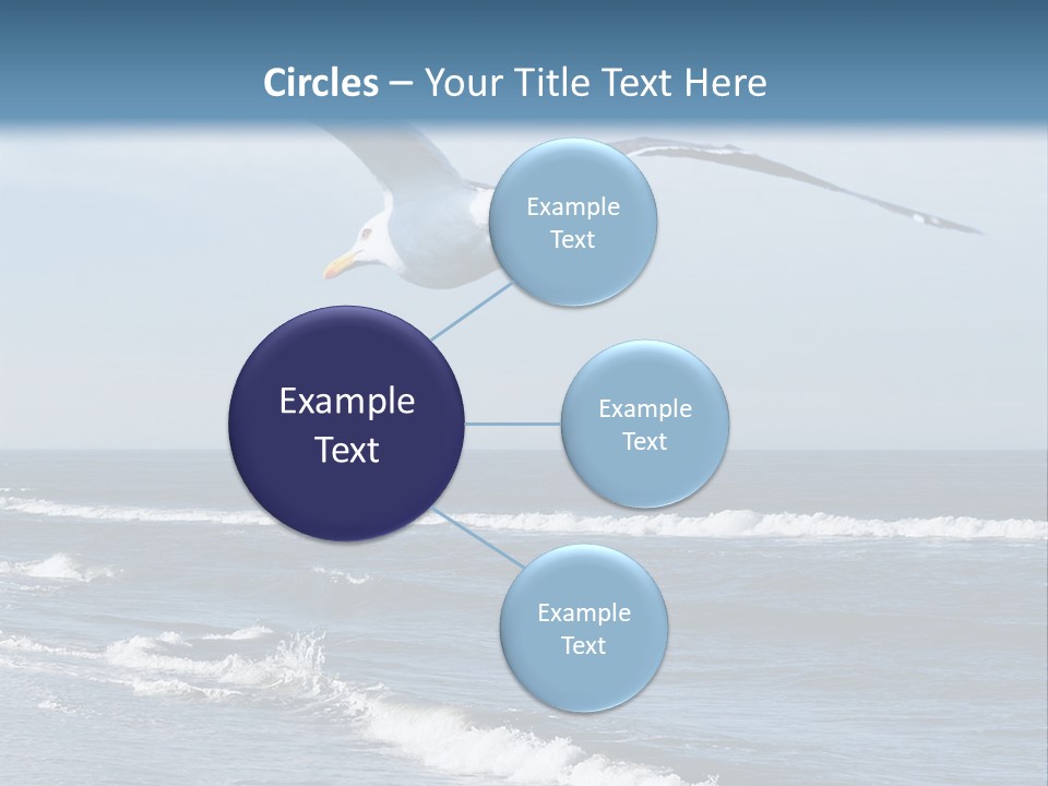 Wildlife Nature Beach PowerPoint Template