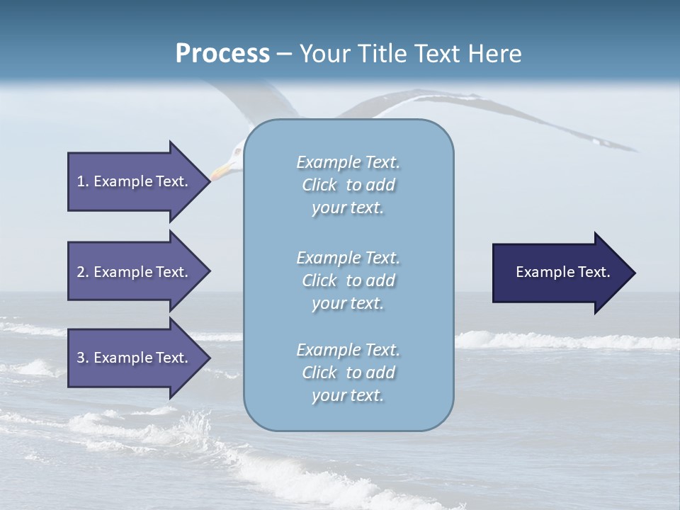 Wildlife Nature Beach PowerPoint Template