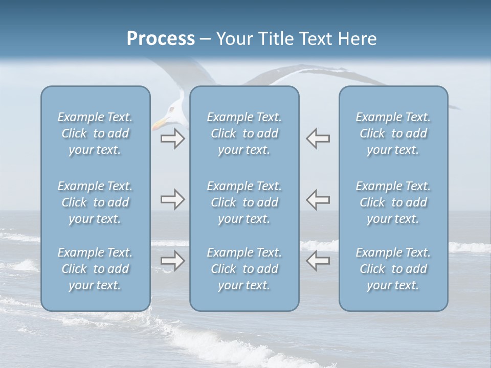 Wildlife Nature Beach PowerPoint Template
