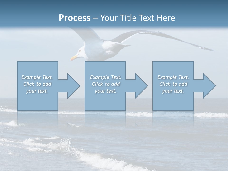 Wildlife Nature Beach PowerPoint Template