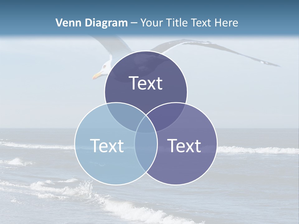 Wildlife Nature Beach PowerPoint Template