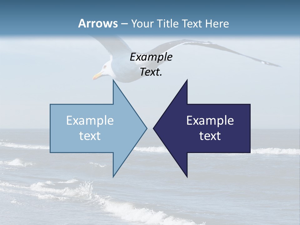 Wildlife Nature Beach PowerPoint Template