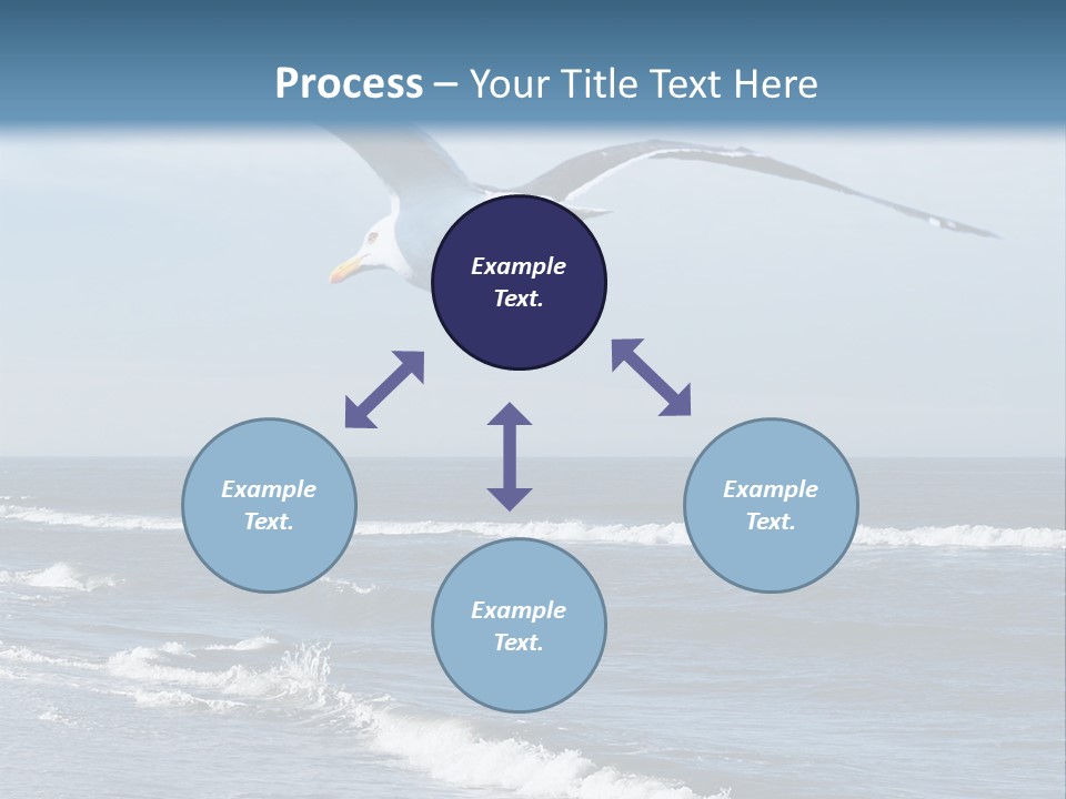 Wildlife Nature Beach PowerPoint Template