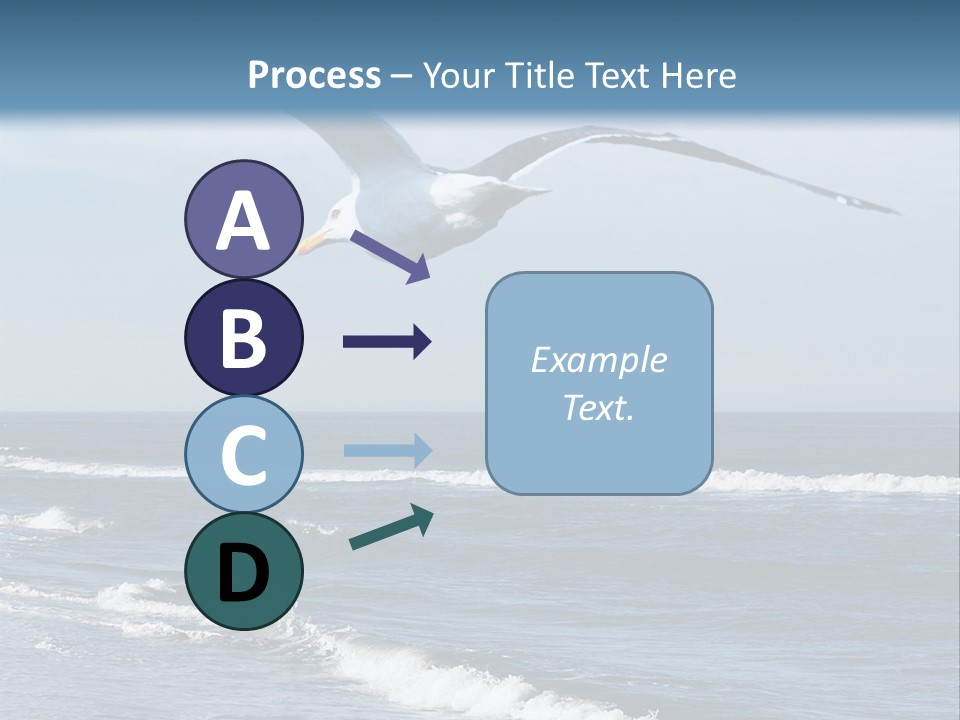 Wildlife Nature Beach PowerPoint Template