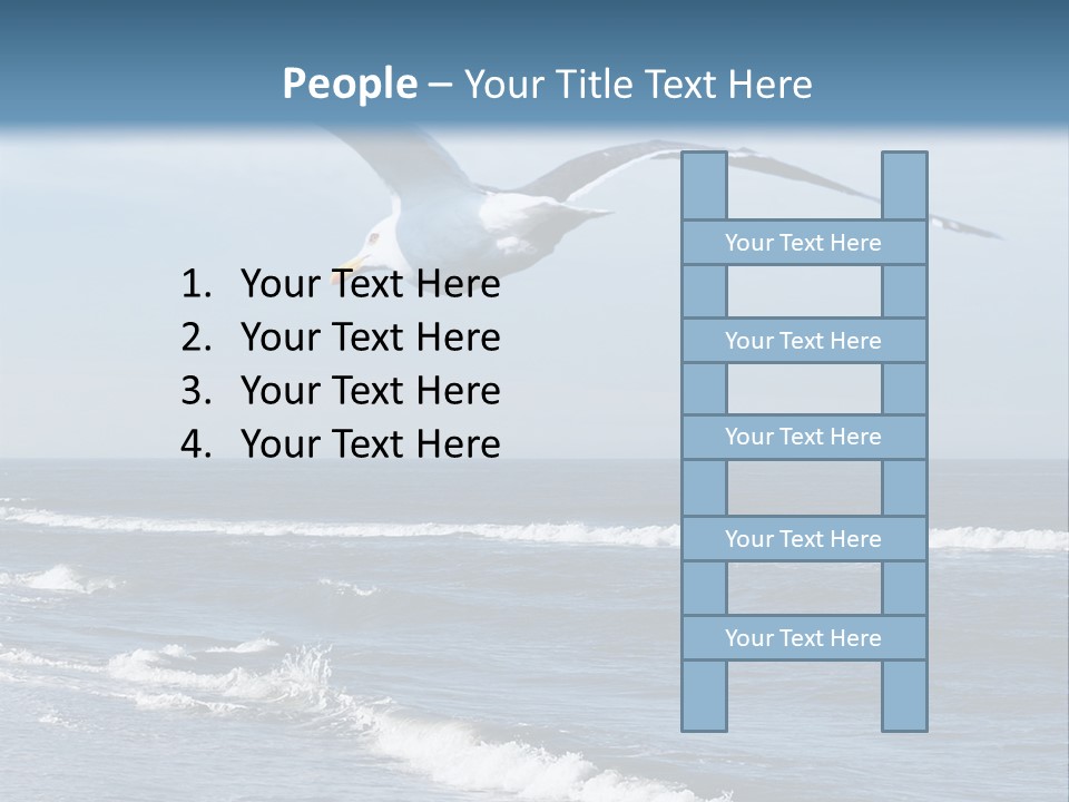 Wildlife Nature Beach PowerPoint Template