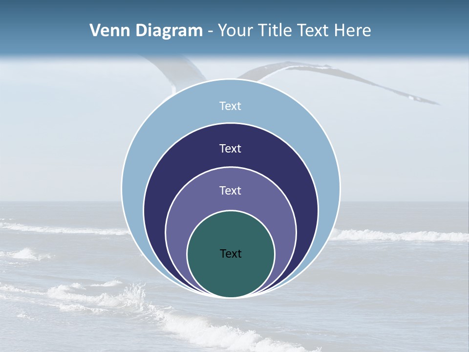 Wildlife Nature Beach PowerPoint Template