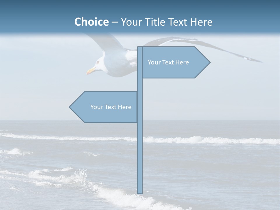 Wildlife Nature Beach PowerPoint Template