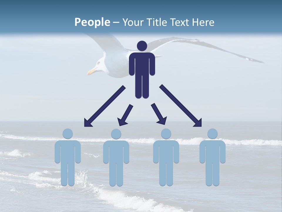 Wildlife Nature Beach PowerPoint Template