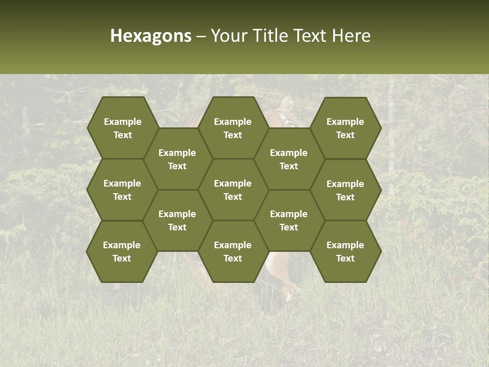 Profile Hungry Jungle PowerPoint Template