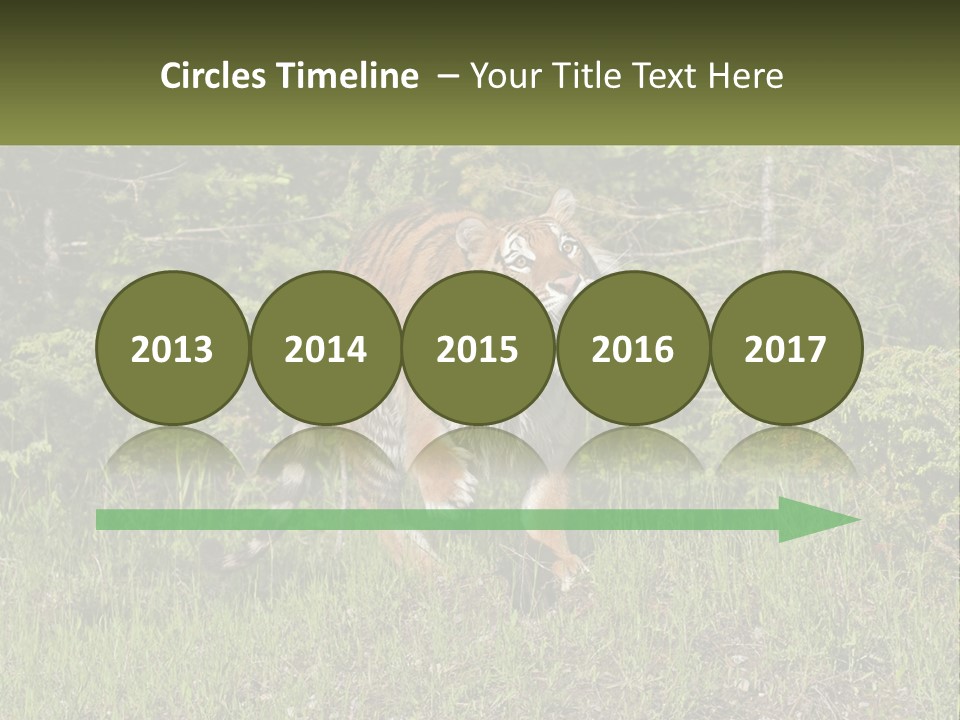 Profile Hungry Jungle PowerPoint Template