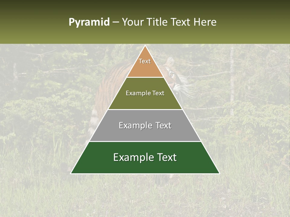 Profile Hungry Jungle PowerPoint Template