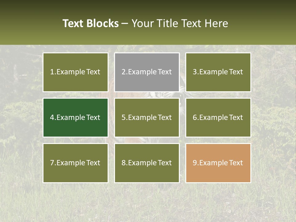 Profile Hungry Jungle PowerPoint Template