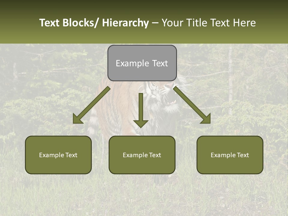 Profile Hungry Jungle PowerPoint Template