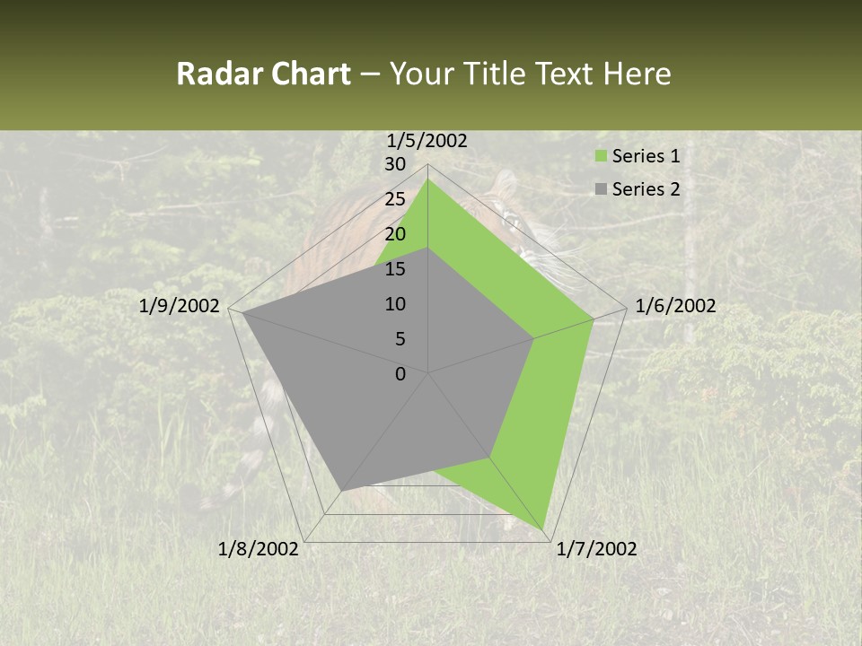 Profile Hungry Jungle PowerPoint Template