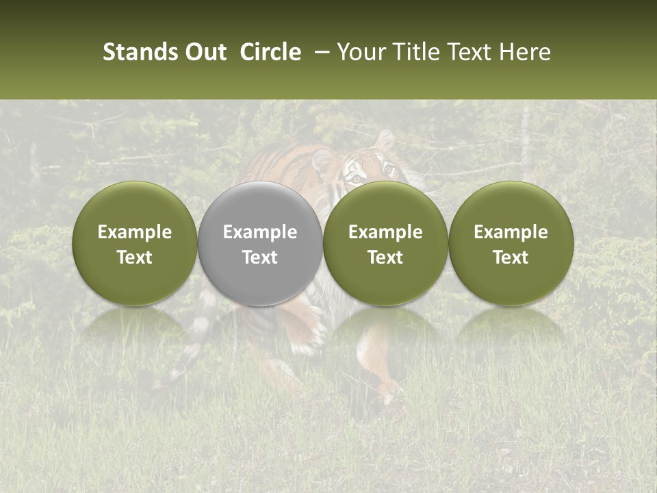 Profile Hungry Jungle PowerPoint Template