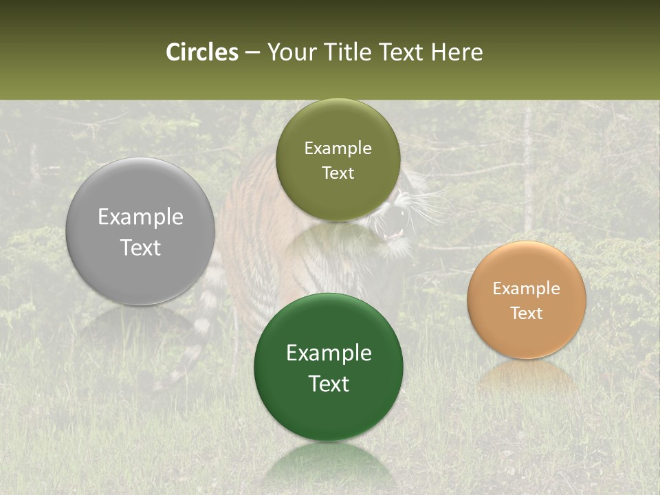 Profile Hungry Jungle PowerPoint Template