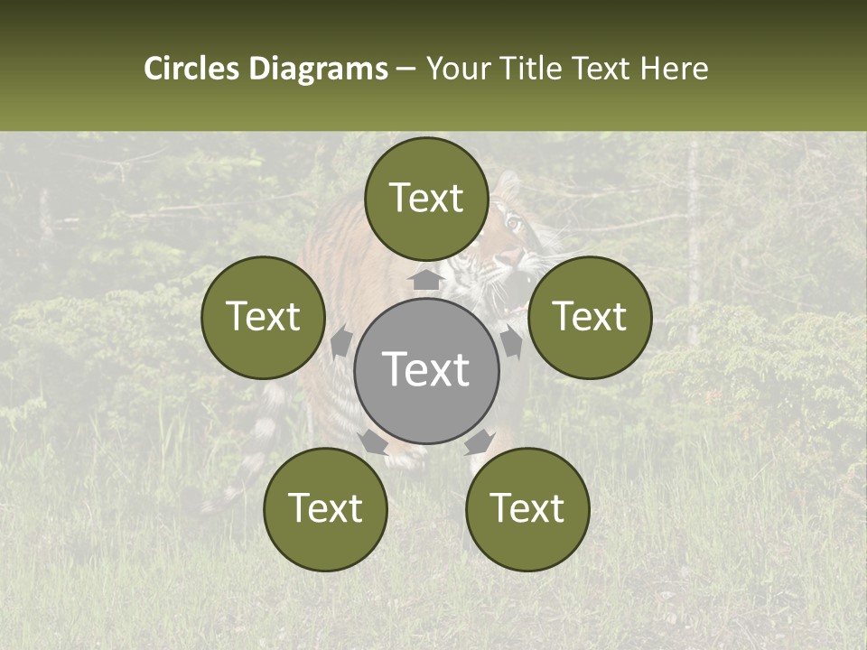 Profile Hungry Jungle PowerPoint Template